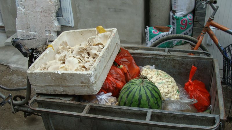 vegetablesincart.jpg