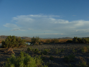 Clouds to South