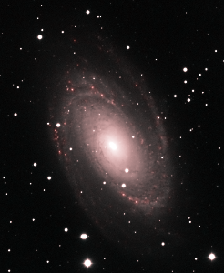 M81